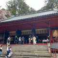 実際訪問したユーザーが直接撮影して投稿した世界遺産世界遺産 日光の社寺の写真