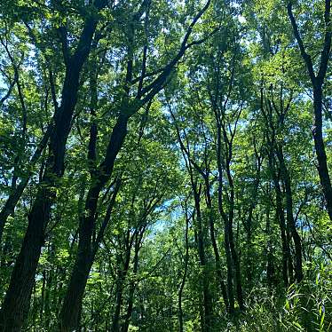 実際訪問したユーザーが直接撮影して投稿した公園八国山緑地の写真