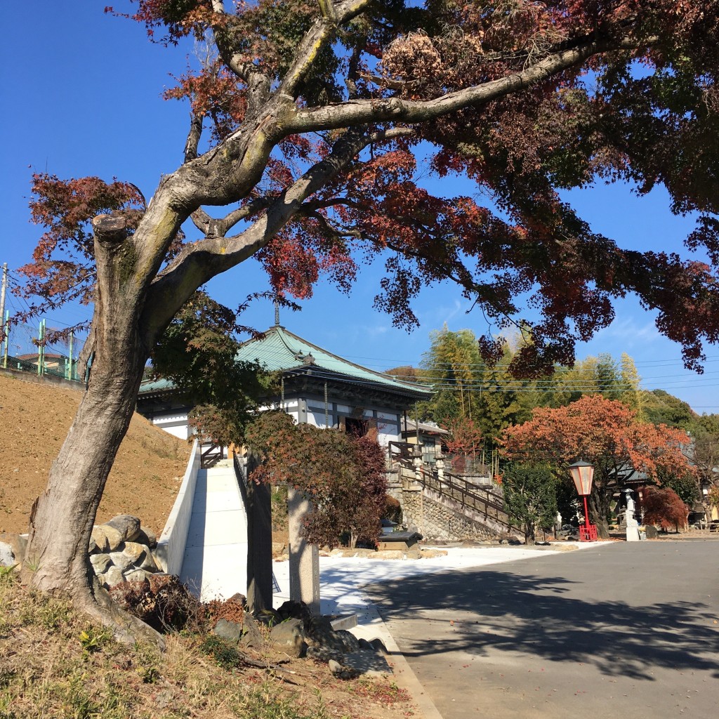 実際訪問したユーザーが直接撮影して投稿した西久方町寺円満寺の写真