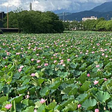 高田城址公園のundefinedに実際訪問訪問したユーザーunknownさんが新しく投稿した新着口コミの写真