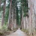 実際訪問したユーザーが直接撮影して投稿した戸隠神社戸隠神社 奥社の写真