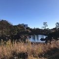 実際訪問したユーザーが直接撮影して投稿した勝島公園しながわ区民公園の写真