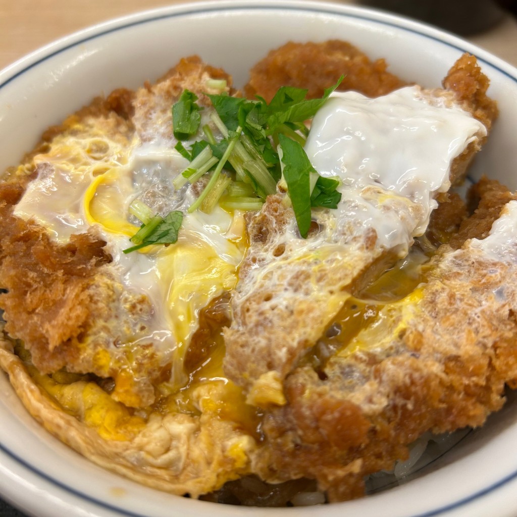 ユーザーが投稿したヒレカツ丼の写真 - 実際訪問したユーザーが直接撮影して投稿した西新宿とんかつかつや 新宿南口店の写真