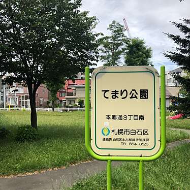 実際訪問したユーザーが直接撮影して投稿した本郷通(南)公園てまり公園の写真