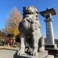 実際訪問したユーザーが直接撮影して投稿した西宮町神社足利織姫神社の写真