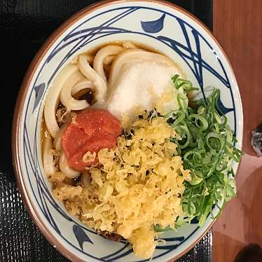 丸亀製麺 尼崎浜田店のundefinedに実際訪問訪問したユーザーunknownさんが新しく投稿した新着口コミの写真