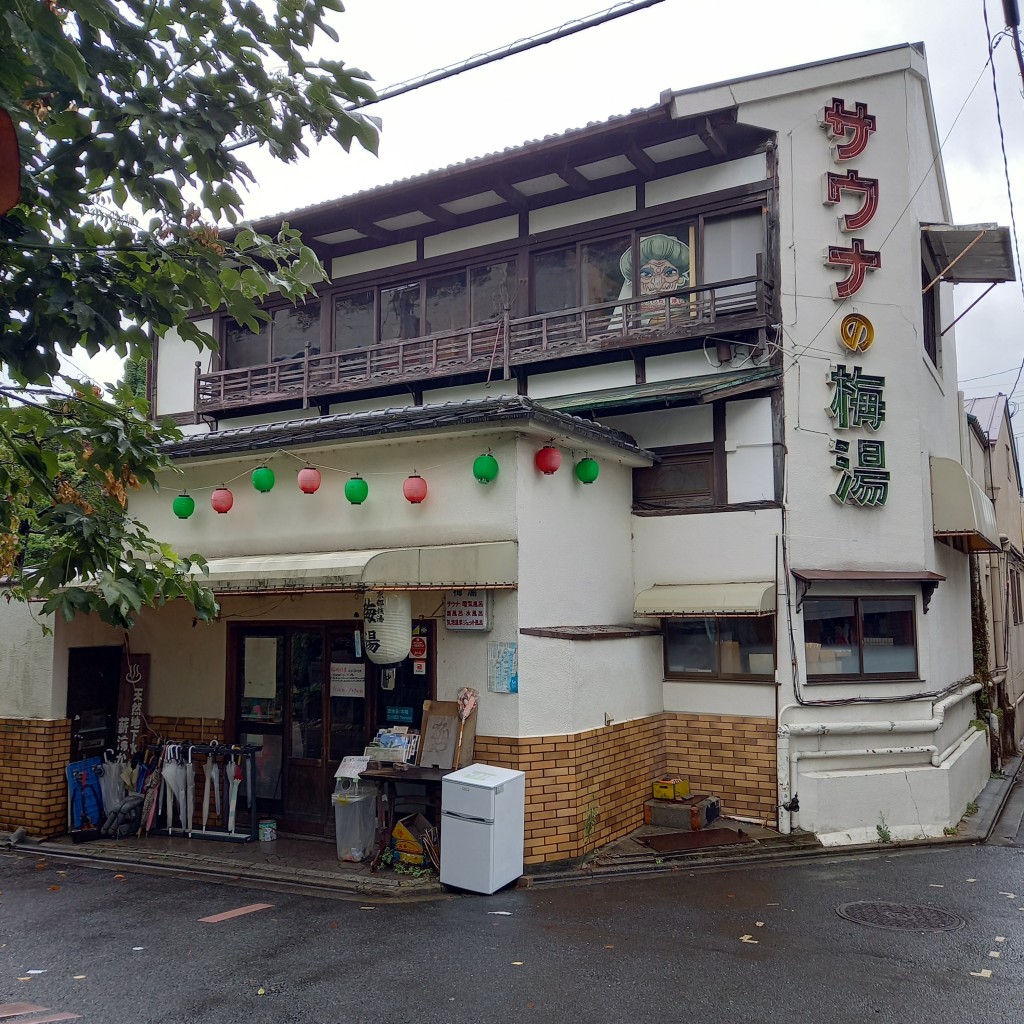 実際訪問したユーザーが直接撮影して投稿した岩滝町銭湯 / サウナ・岩盤浴サウナの梅湯の写真