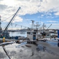 実際訪問したユーザーが直接撮影して投稿した港 / 灯台苫小牧港の写真