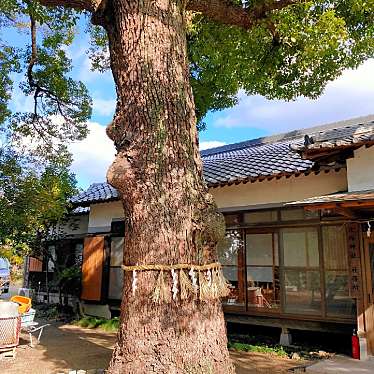 実際訪問したユーザーが直接撮影して投稿した中川町地域名所御神木の写真