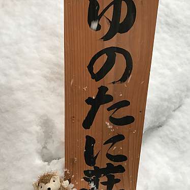 実際訪問したユーザーが直接撮影して投稿した温泉湯之谷温泉郷の写真