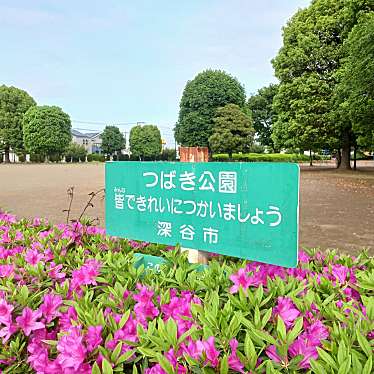 つばき公園のundefinedに実際訪問訪問したユーザーunknownさんが新しく投稿した新着口コミの写真