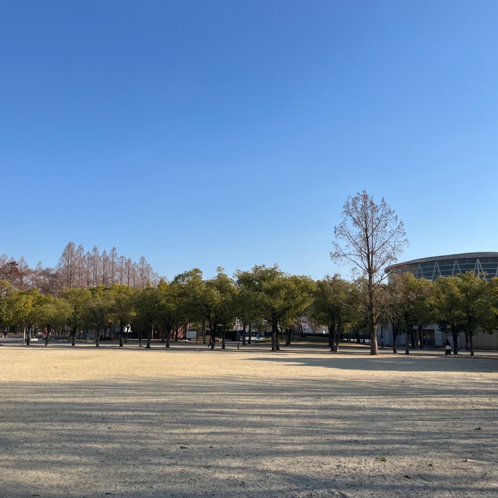 実際訪問したユーザーが直接撮影して投稿した緑地公園広場中央広場の写真