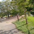 実際訪問したユーザーが直接撮影して投稿した南十一条西公園おおたに公園の写真