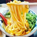 実際訪問したユーザーが直接撮影して投稿した小林うどん丸亀製麺 茂原店の写真