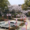 実際訪問したユーザーが直接撮影して投稿した八幡高坊神社国宝 石清水八幡宮の写真
