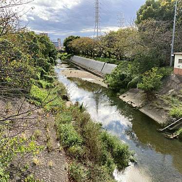 実際訪問したユーザーが直接撮影して投稿した河川山崎川の写真