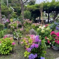 実際訪問したユーザーが直接撮影して投稿した永山町庭園上野ファームの写真