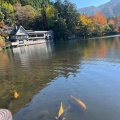 実際訪問したユーザーが直接撮影して投稿した湯布院町川上湖沼 / 池金鱗湖の写真