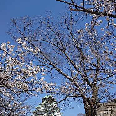 大阪城公園のundefinedに実際訪問訪問したユーザーunknownさんが新しく投稿した新着口コミの写真