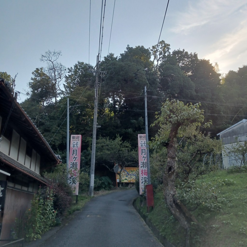 実際訪問したユーザーが直接撮影して投稿した月ヶ瀬月瀬生息地 / 群生地・飛来地月ケ瀬梅渓の写真