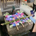 実際訪問したユーザーが直接撮影して投稿した深草鳥居崎町神社藤森神社の写真