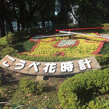 実際訪問したユーザーが直接撮影して投稿した加納町地域名所こうべ花時計の写真