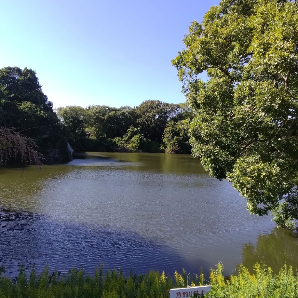 新免無二さんが投稿した明石公園城 / 城跡のお店明石城 薬研堀跡/アカシジョウ ヤゲンホリアトの写真