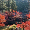 実際訪問したユーザーが直接撮影して投稿した柳本町寺長岳寺の写真