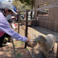 実際訪問したユーザーが直接撮影して投稿した芦田八ケ野遊園地 / テーマパーク白樺リゾート 池の平ファミリーランドの写真