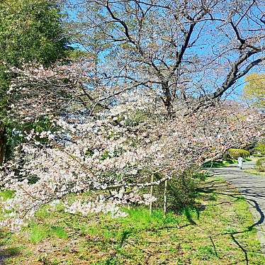 水城公園のundefinedに実際訪問訪問したユーザーunknownさんが新しく投稿した新着口コミの写真