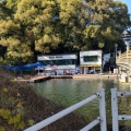 実際訪問したユーザーが直接撮影して投稿した元赤坂釣り弁慶濠の写真