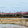 実際訪問したユーザーが直接撮影して投稿した南下浦町上宮田公園小松ケ池公園の写真