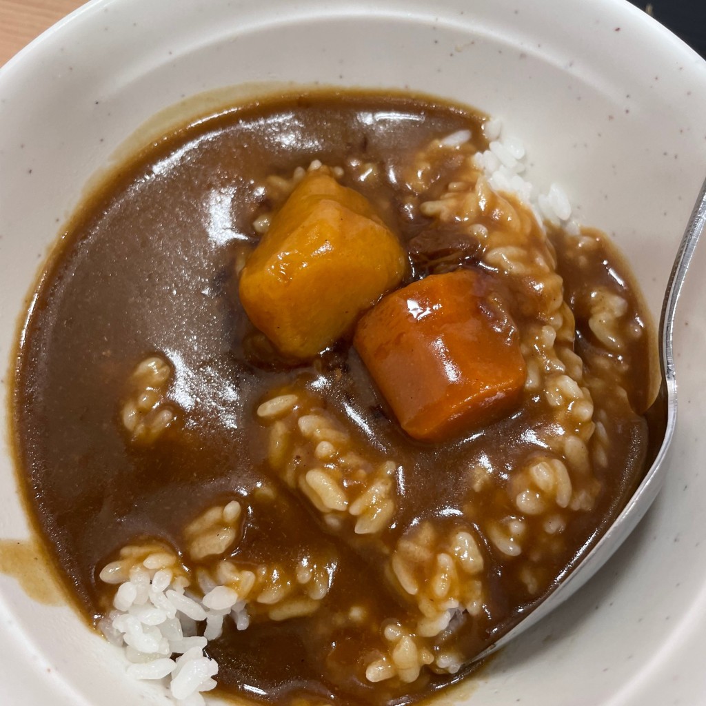 ユーザーが投稿したカレー丼の写真 - 実際訪問したユーザーが直接撮影して投稿した豊津町うどんさぬきうどん職人 めりけんや 江坂店の写真