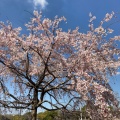 実際訪問したユーザーが直接撮影して投稿した東野町公園落合公園の写真