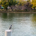 実際訪問したユーザーが直接撮影して投稿した河川大川の写真