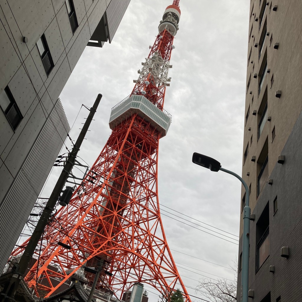 パンダのさんさんさんが投稿した芝公園展望台 / 展望施設のお店東京タワー/トウキョウタワーの写真