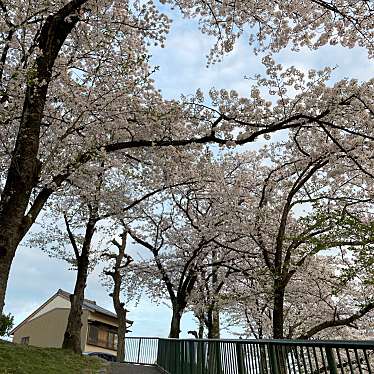 天王川公園のundefinedに実際訪問訪問したユーザーunknownさんが新しく投稿した新着口コミの写真