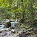 実際訪問したユーザーが直接撮影して投稿した河川河津川の写真