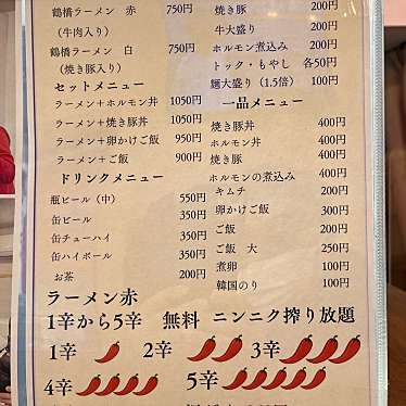 FUJI山のグルメ記録帳さんが投稿した鶴橋ラーメン専門店のお店鶴橋ラーメン 生野流/ツルハシラーメン イクノリュウの写真