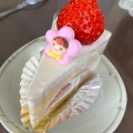 ショートケーキ - 実際訪問したユーザーが直接撮影して投稿した太右エ門新田ケーキpatisserie remplirの写真のメニュー情報