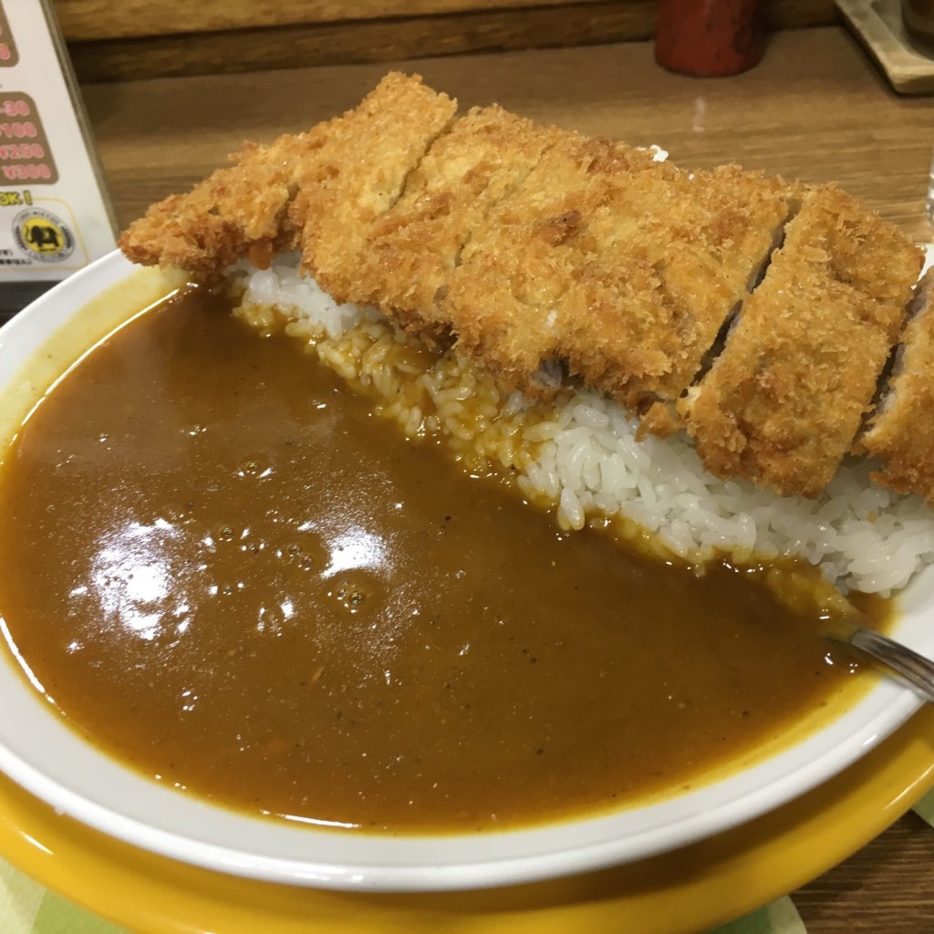 ユーザーが投稿したカツカレーの写真 - 実際訪問したユーザーが直接撮影して投稿した北四条西カレーカリーハウス コロンボの写真