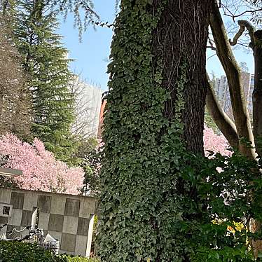 実際訪問したユーザーが直接撮影して投稿した本町公園錦町公園の写真