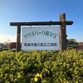 実際訪問したユーザーが直接撮影して投稿した祖父江町祖父江公園サリオパーク祖父江の写真