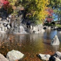 実際訪問したユーザーが直接撮影して投稿した畔吉公園上尾丸山公園の写真