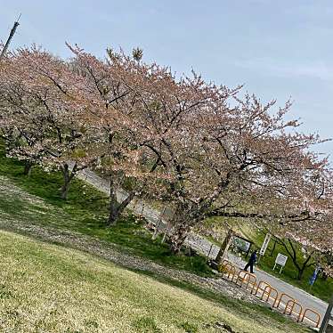 実際訪問したユーザーが直接撮影して投稿した田尻大沢山 / 峠加護坊山の写真