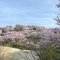 実際訪問したユーザーが直接撮影して投稿した福田町福田公園種松山公園西園地の写真