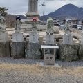 実際訪問したユーザーが直接撮影して投稿した善通寺町寺善通寺の写真