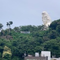 実際訪問したユーザーが直接撮影して投稿した岡本寺大船観音寺の写真