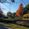 実際訪問したユーザーが直接撮影して投稿した八雲北町公園下島公園の写真