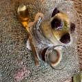 実際訪問したユーザーが直接撮影して投稿した北沖洲イタリアンキャンドゥの写真